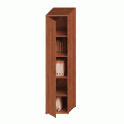 ТЖ Исп.32 шкаф колонна с дверцей 470x460x2030